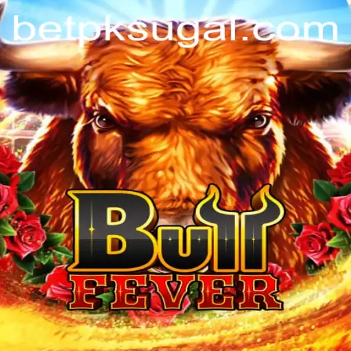 BullFever: Understanding the Thrilling Game of Choices